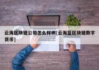 云海区块链公司怎么样啊[云海蓝区块链数字货币]