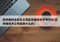 区块链技术巨头公司区块链技术开发评价[区块链技术公司是做什么的]